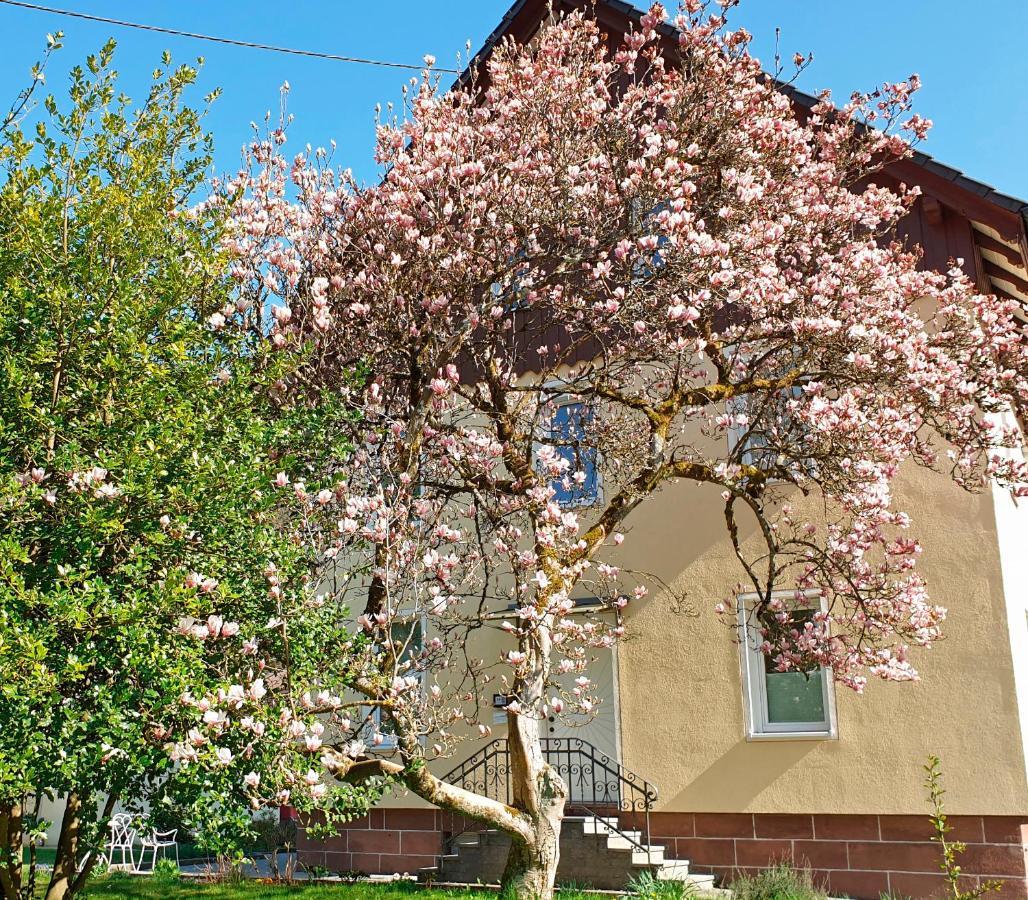 Liebevoll Gaestewohnungen Alpirsbach Exterior foto